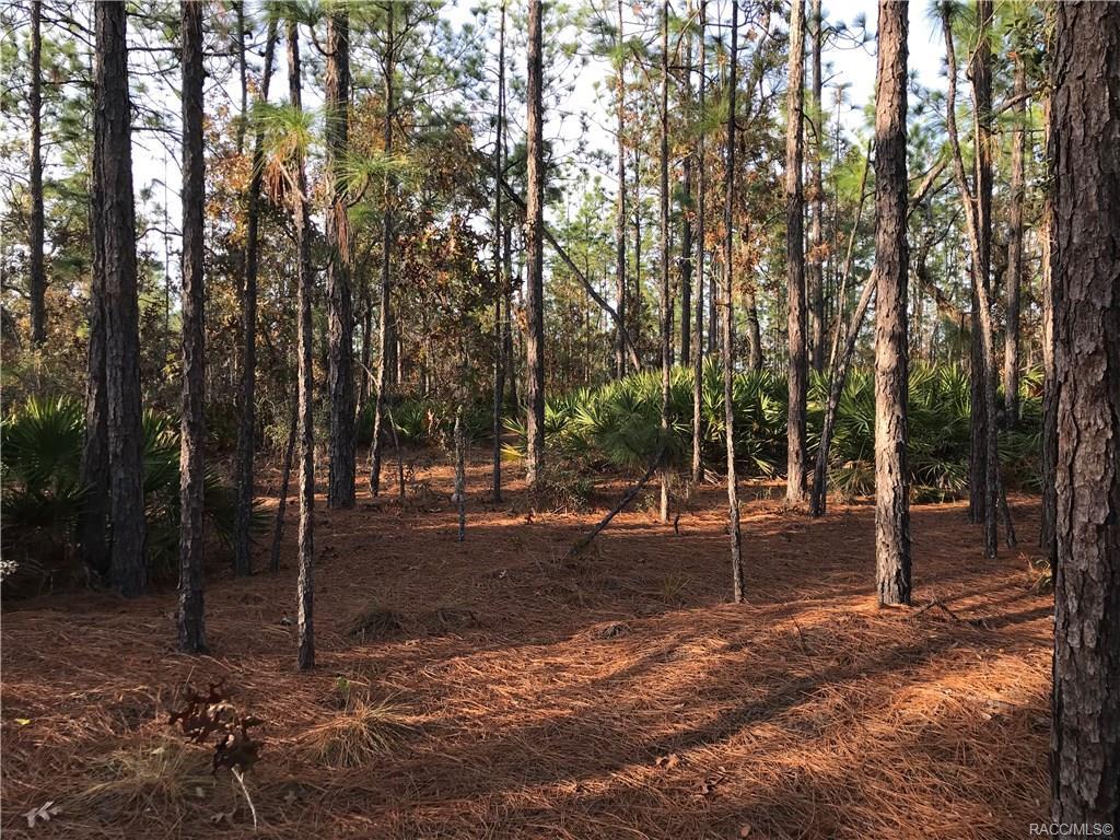 4637 Tomahawk Drive - Photo 1