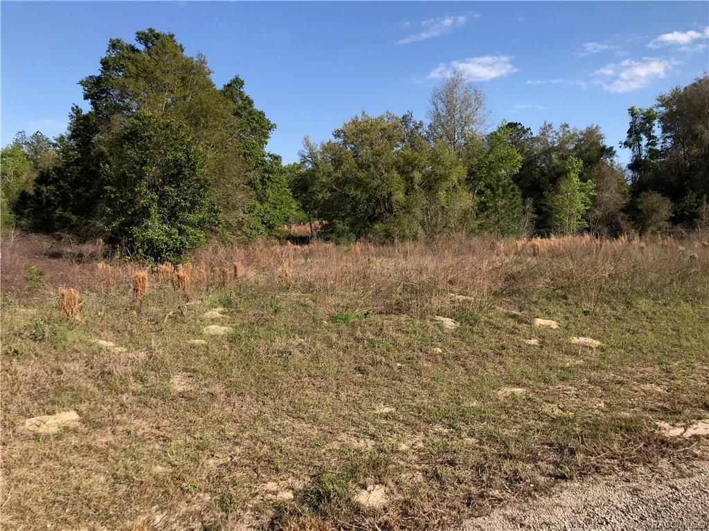7873 Cedro Road - Photo 1