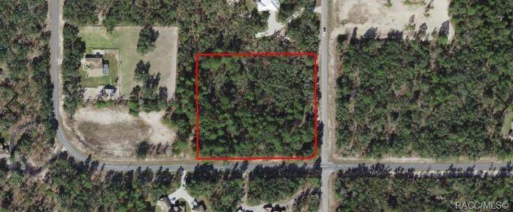 2304 Trample Terrace - Photo 1