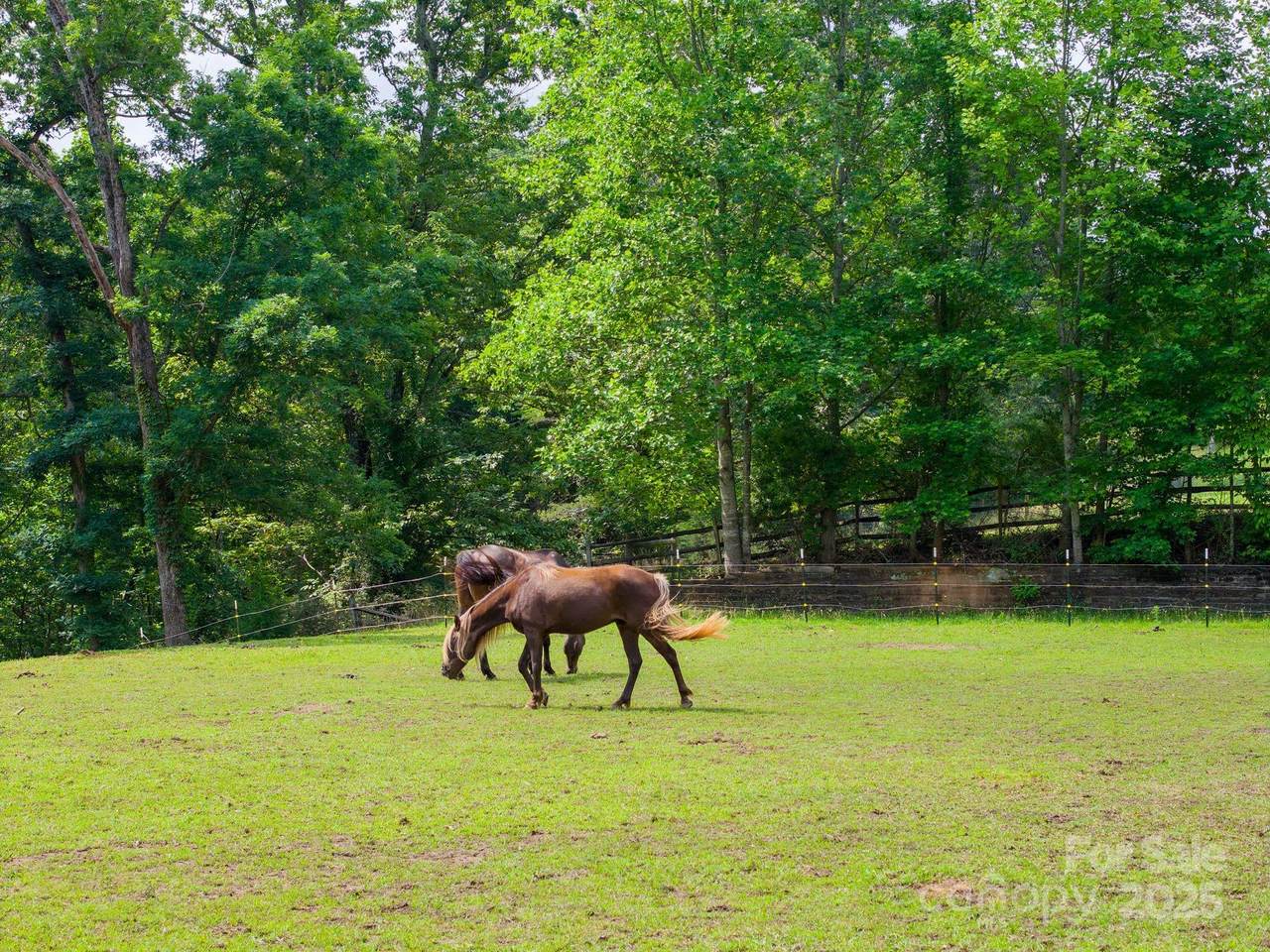 777 River Road - Photo 1