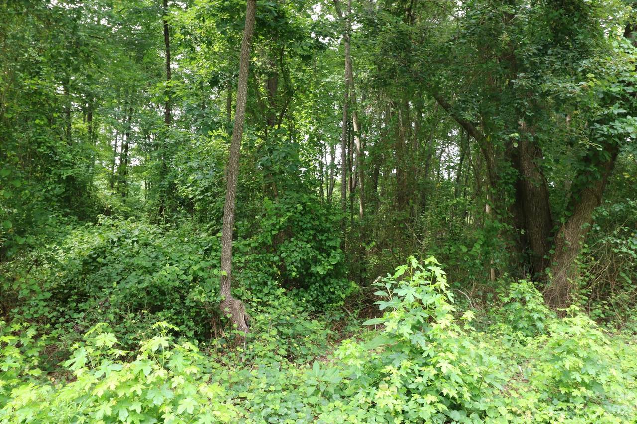 https://bt-photos.global.ssl.fastly.net/cmls/1280_boomver_1_4046631-1.jpg