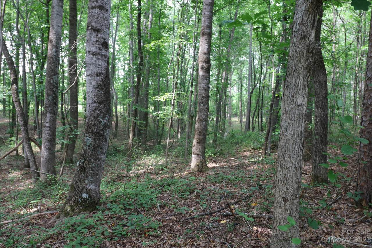 https://bt-photos.global.ssl.fastly.net/cmls/1280_boomver_1_4046634-1.jpg