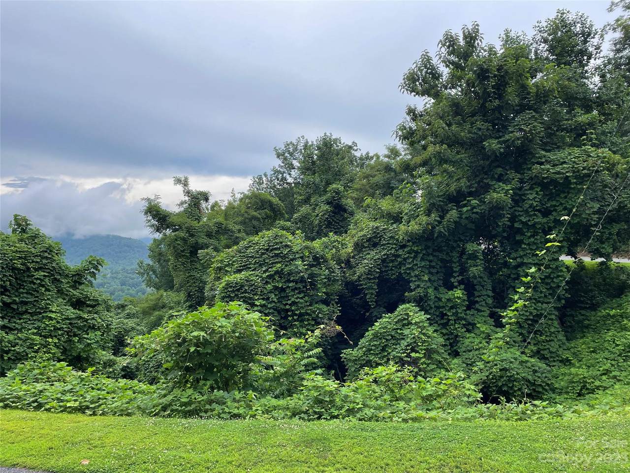 https://bt-photos.global.ssl.fastly.net/cmls/1280_boomver_1_4050454-1.jpg