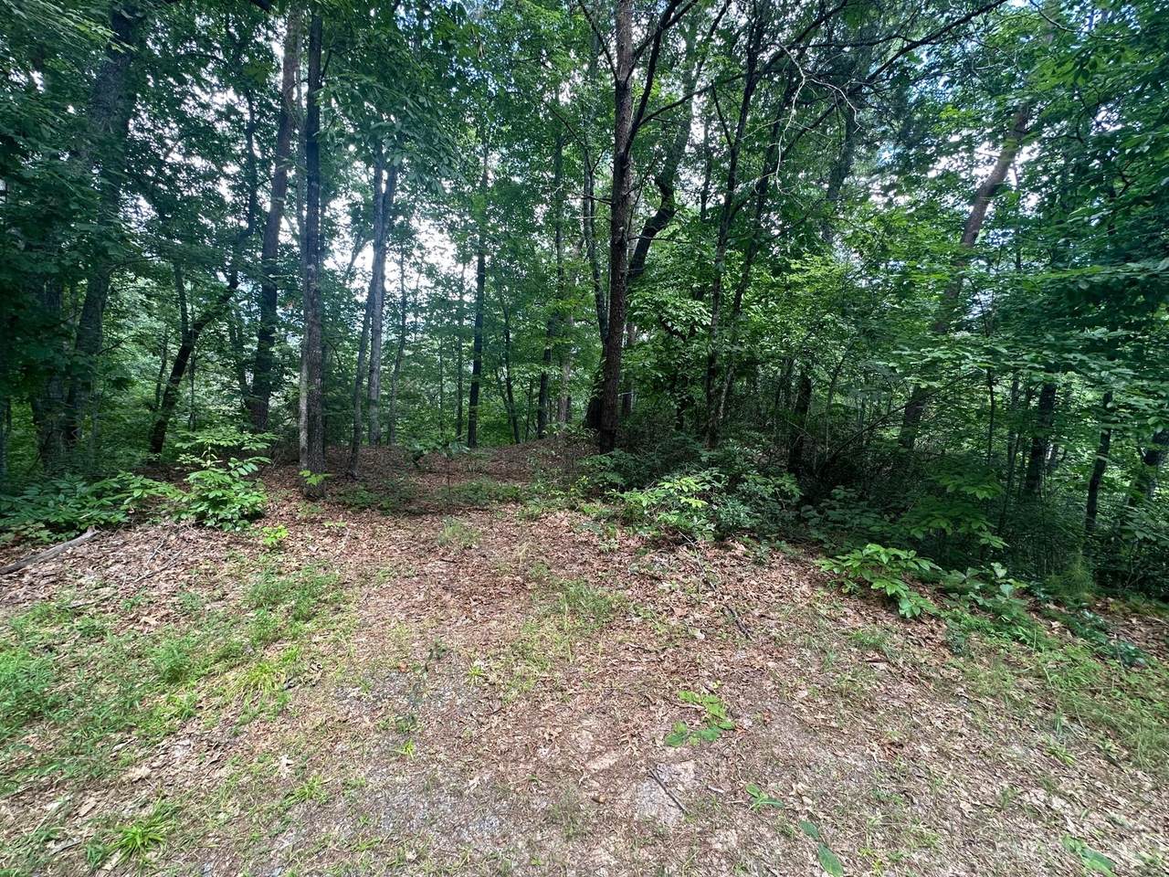 0000 Justice Drive - Photo 1