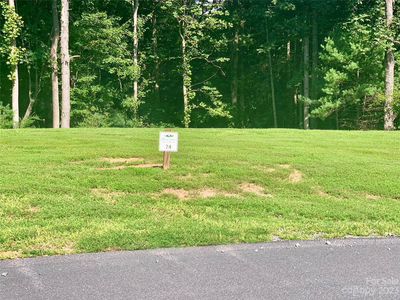 3.32 acres Lot 74 Round Mountain Parkway - Photo 1