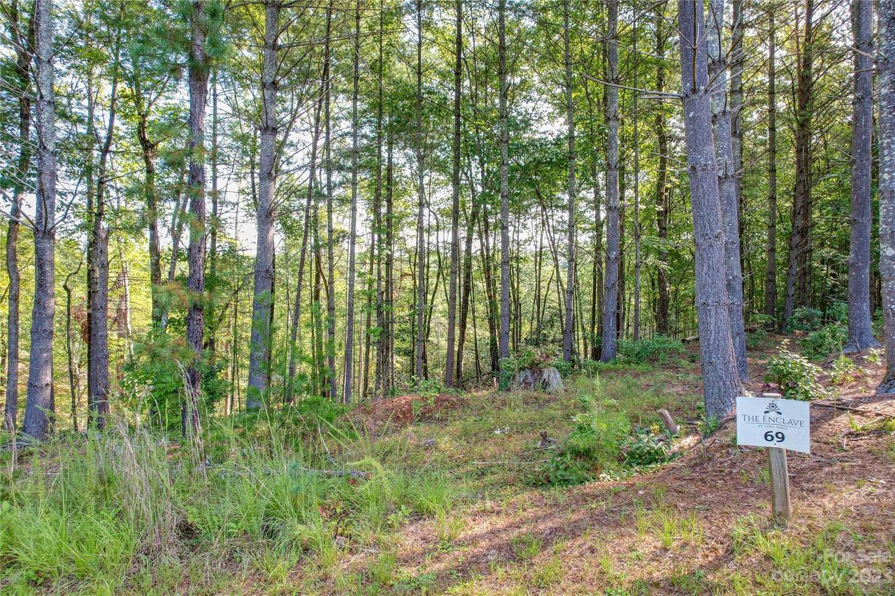 3227 Ella Marie Way - Photo 1