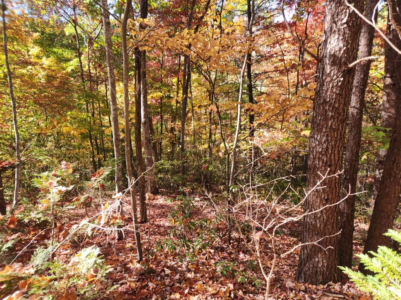 https://bt-photos.global.ssl.fastly.net/cmls/1280_boomver_1_4083029-1.jpg