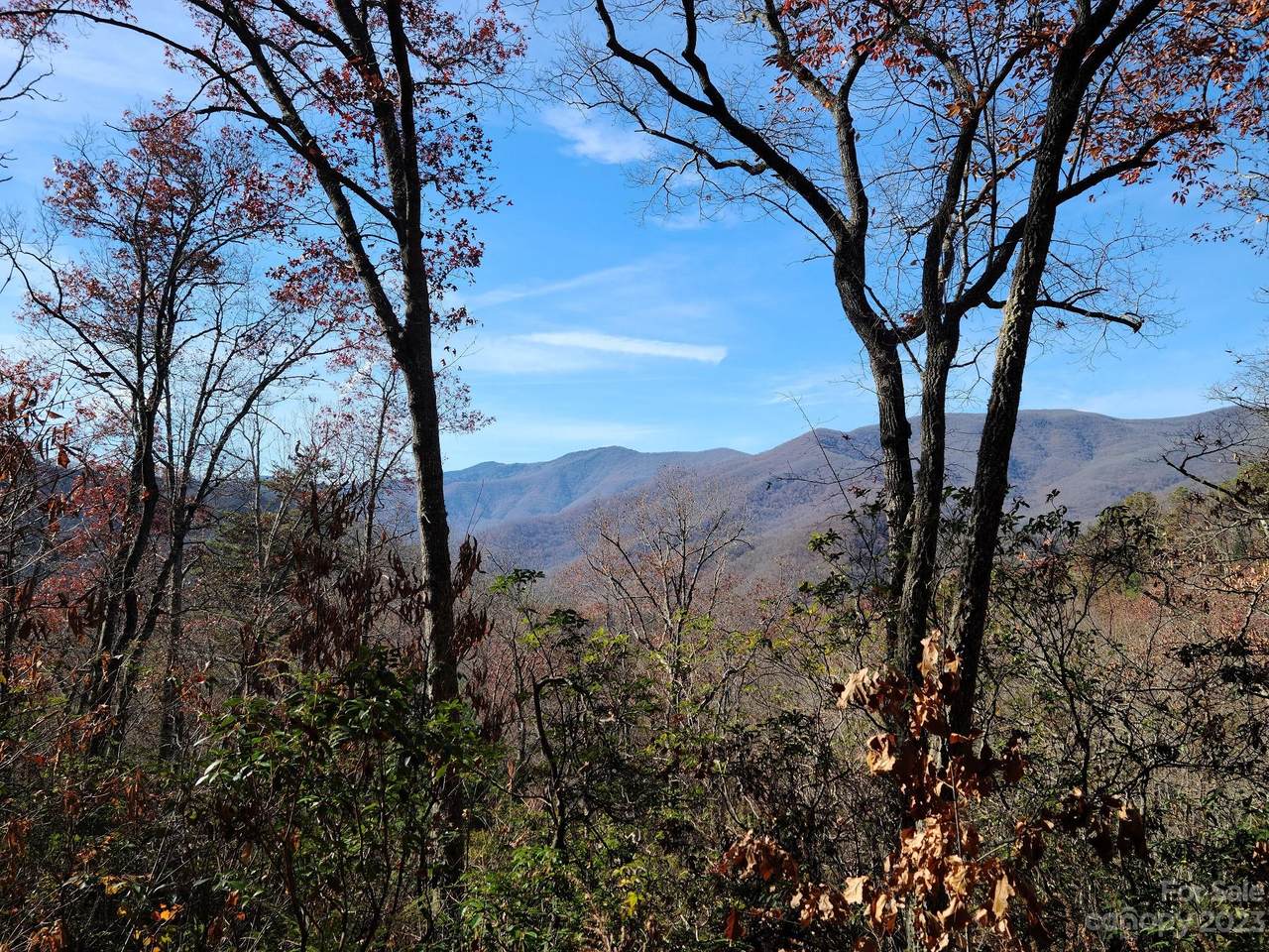 00 Blue Vista Road - Photo 1