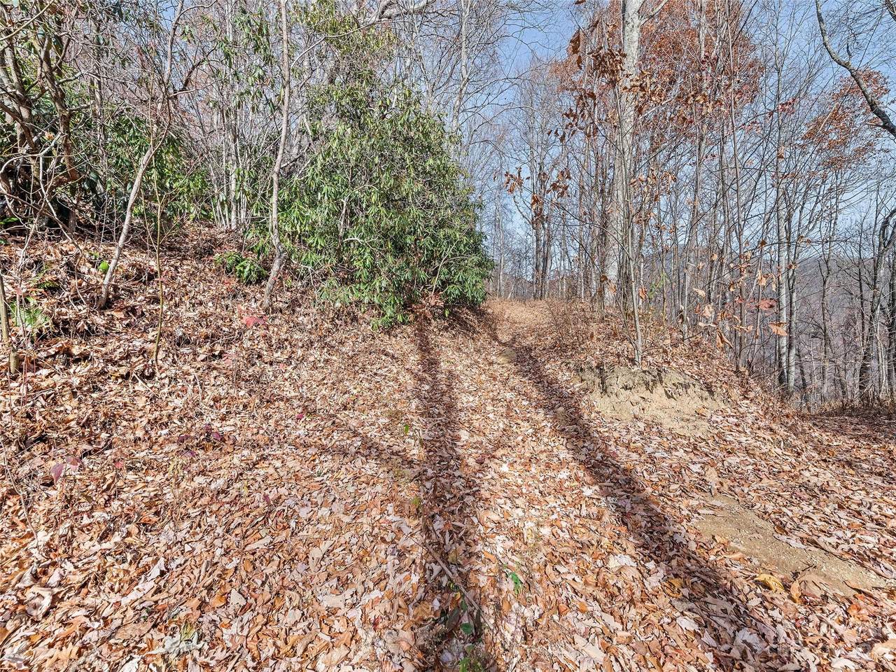 00 Rich Cove Road, Maggie Valley, NC 28751 (4088683) TK Mountain Realty