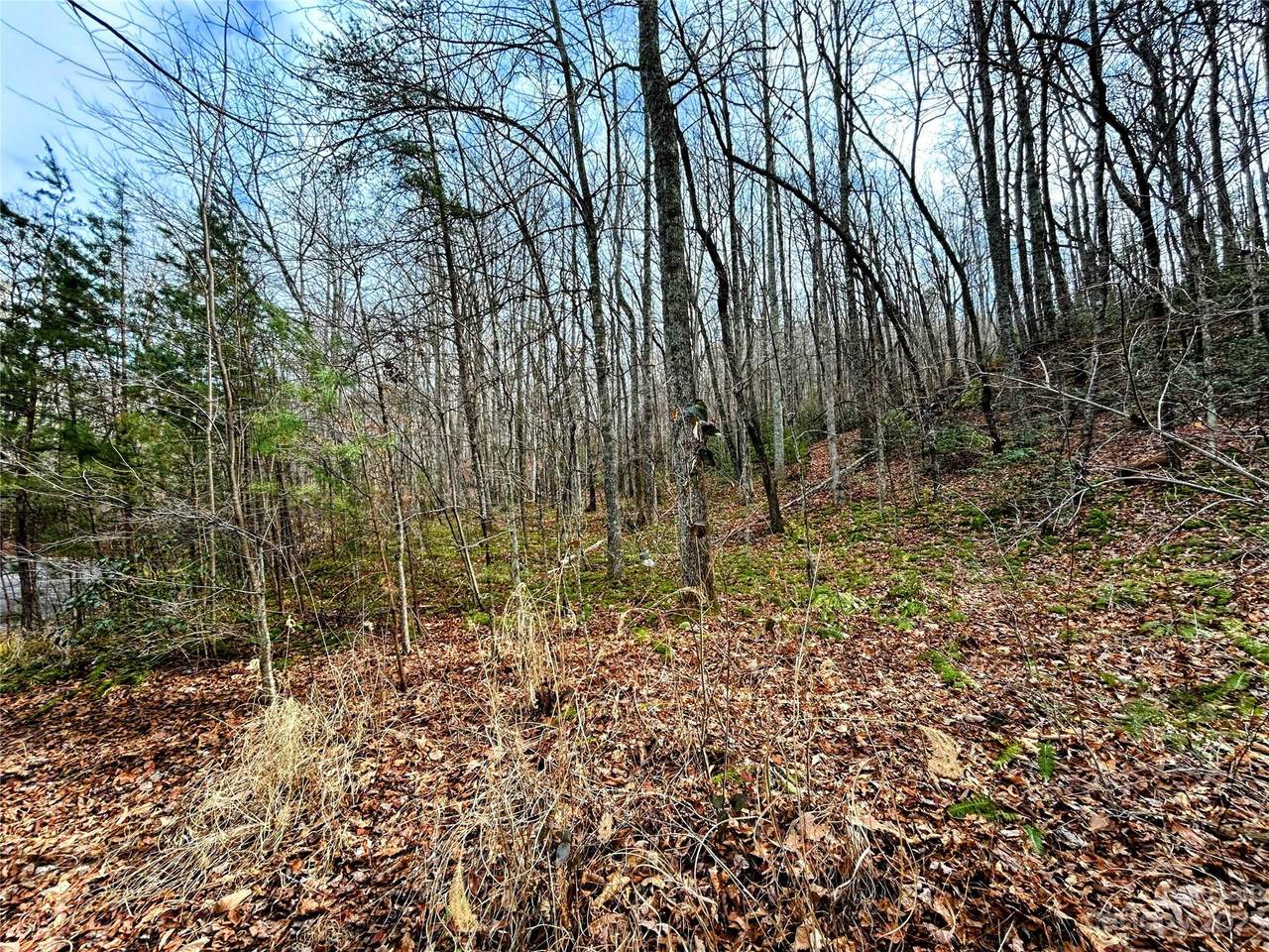 https://bt-photos.global.ssl.fastly.net/cmls/1280_boomver_1_4100654-1.jpg