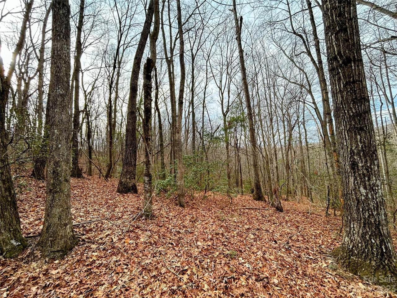 https://bt-photos.global.ssl.fastly.net/cmls/1280_boomver_1_4100658-1.jpg