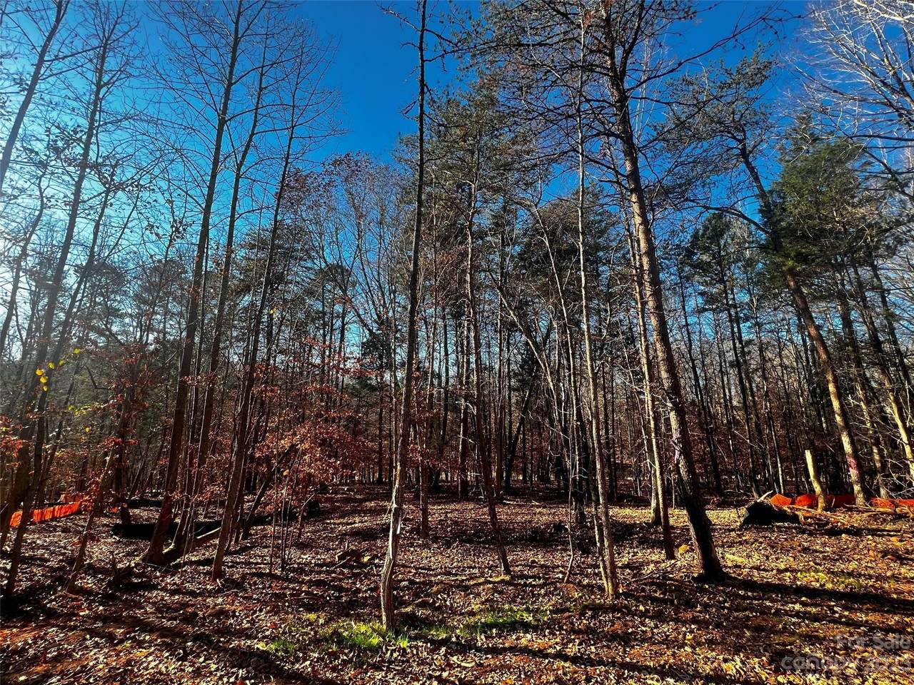 https://bt-photos.global.ssl.fastly.net/cmls/1280_boomver_1_4100819-1.jpg