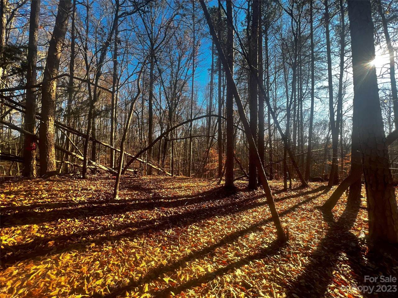 https://bt-photos.global.ssl.fastly.net/cmls/1280_boomver_1_4100833-1.jpg