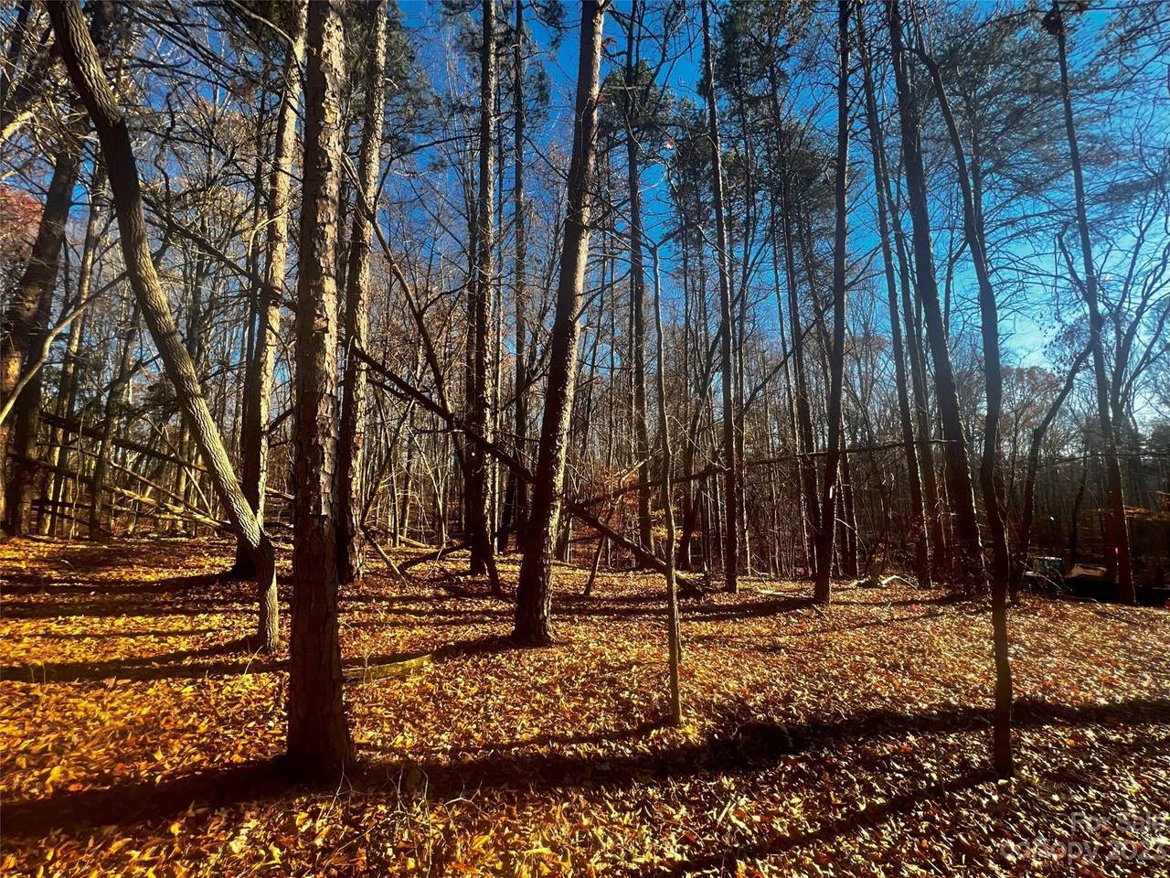 https://bt-photos.global.ssl.fastly.net/cmls/1280_boomver_1_4100833-1.jpg