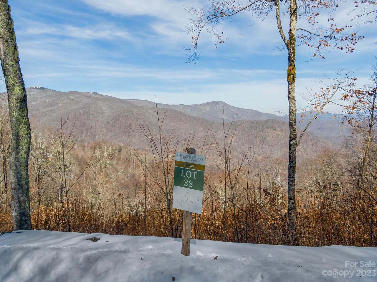Lot 38 Black Bear Run - Photo 1