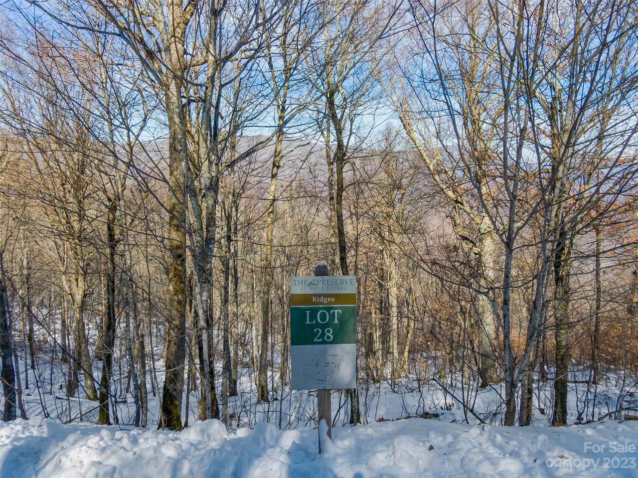 Lot 28 Black Bear Run - Photo 1