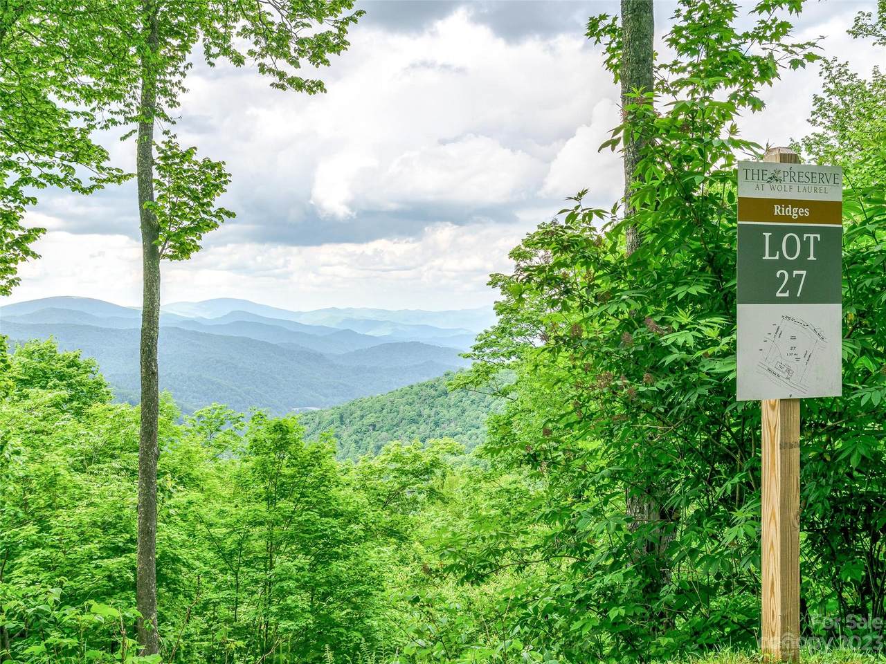 Lot 27 Black Bear Run - Photo 1