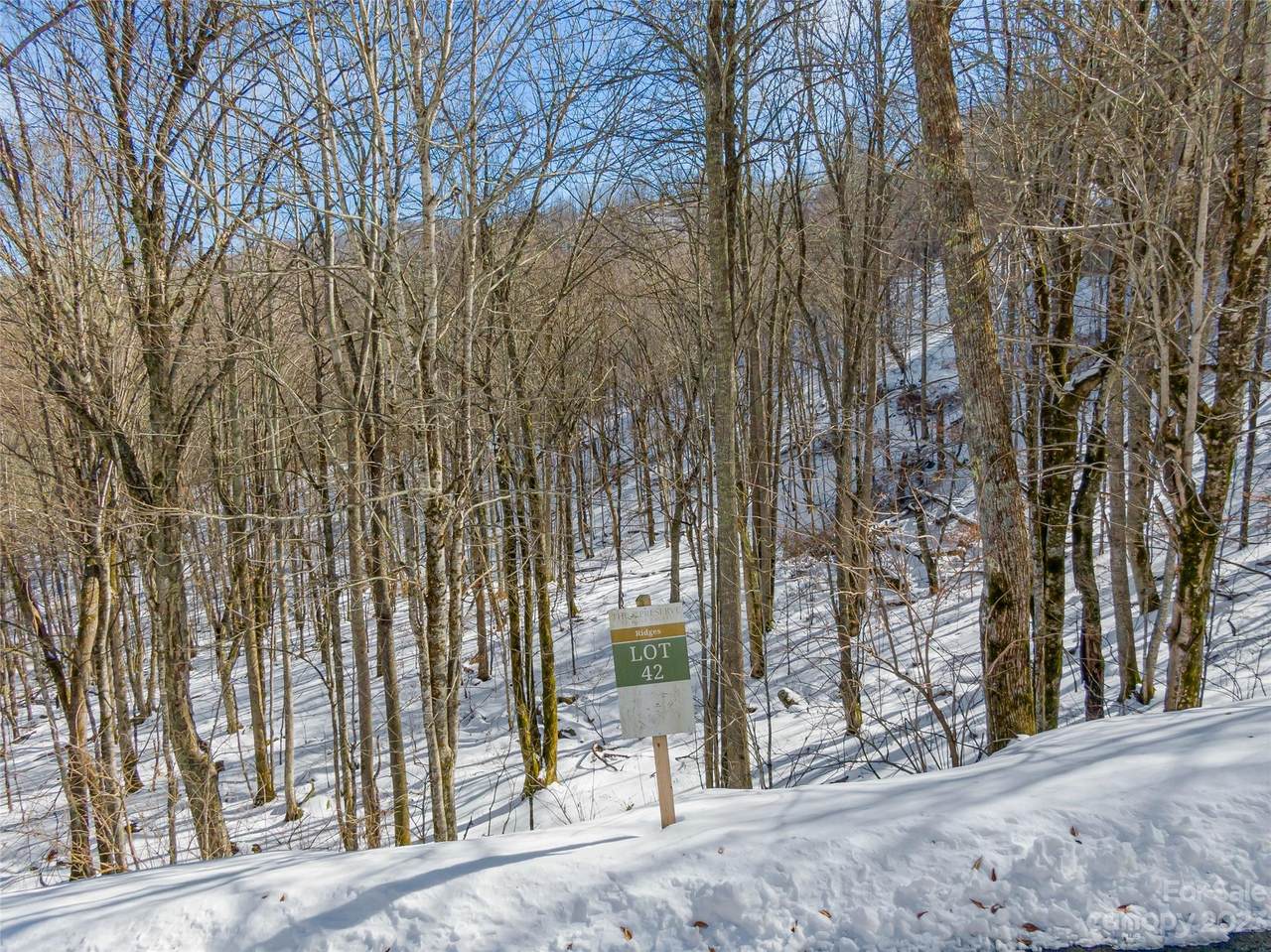 Lot 42 Black Bear Run - Photo 1