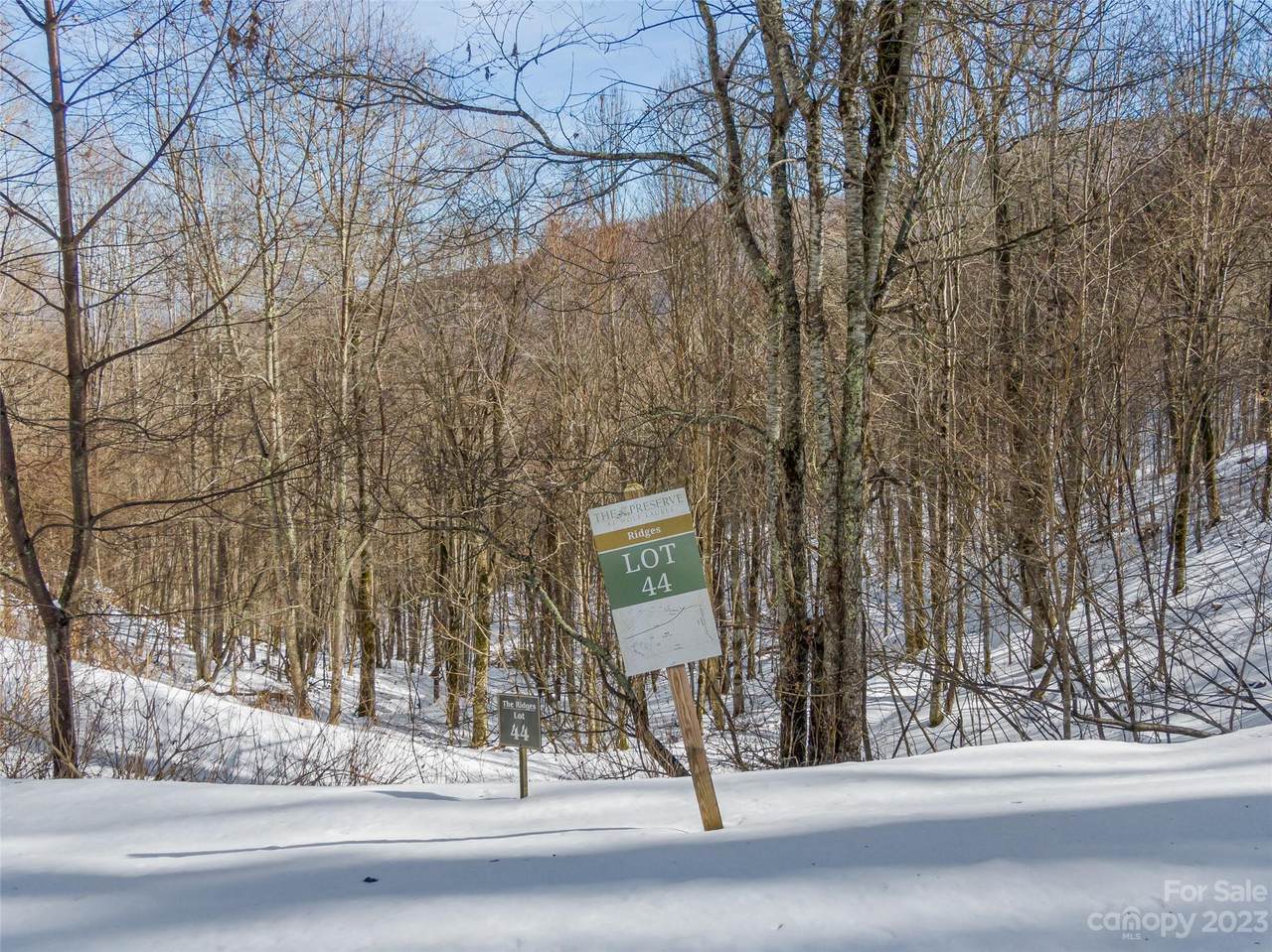 Lot 44 Black Bear Run - Photo 1