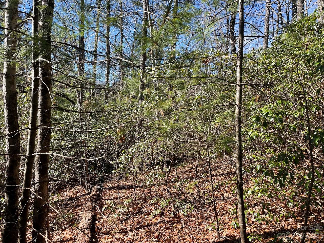 https://bt-photos.global.ssl.fastly.net/cmls/1280_boomver_1_4104921-1.jpg