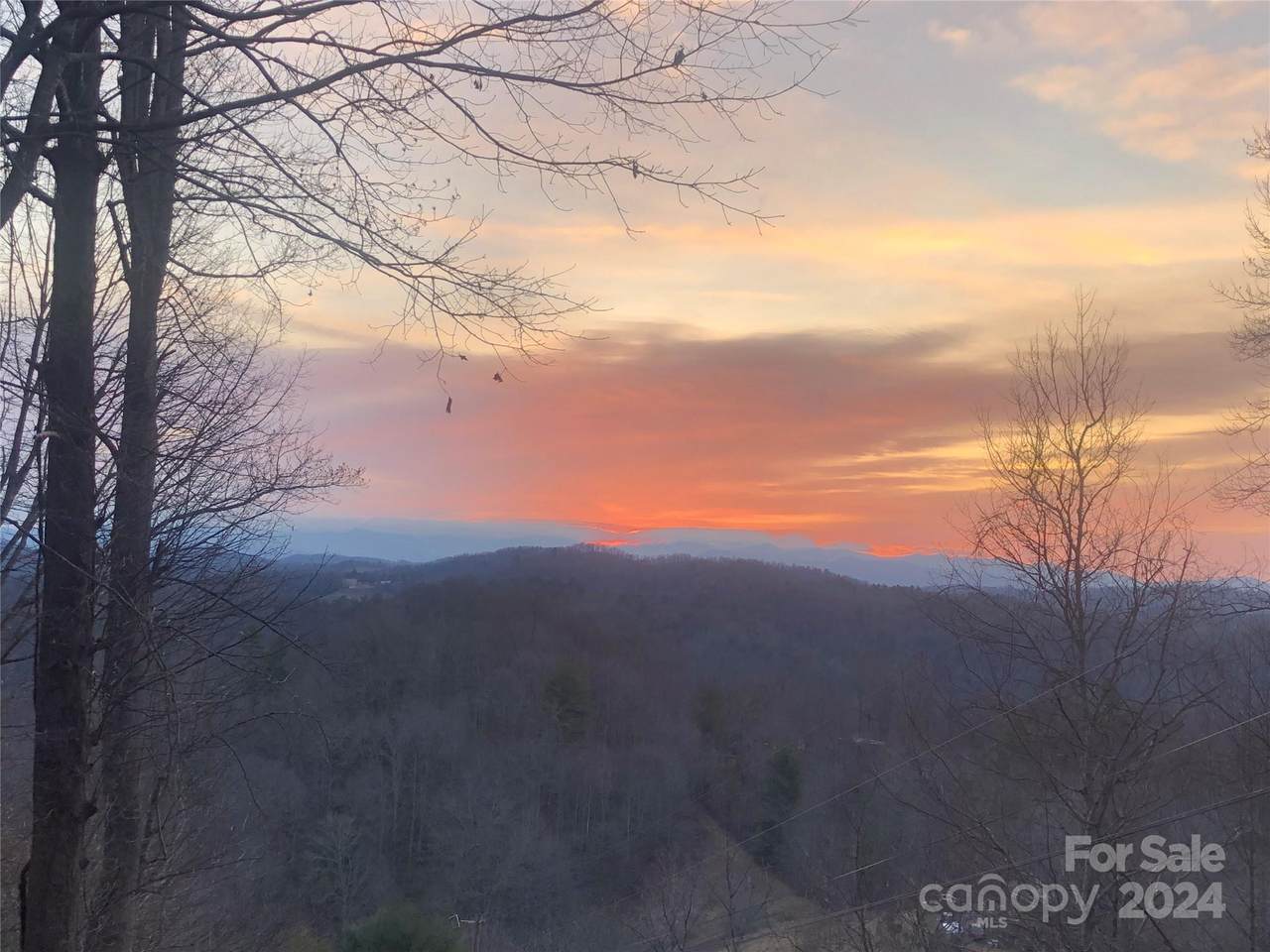 0 Anderson Branch Road - Photo 1