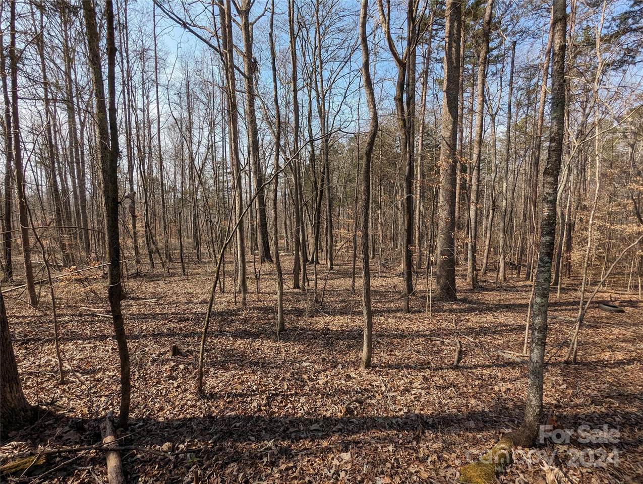 2425 Jim Mccarter Road - Photo 1