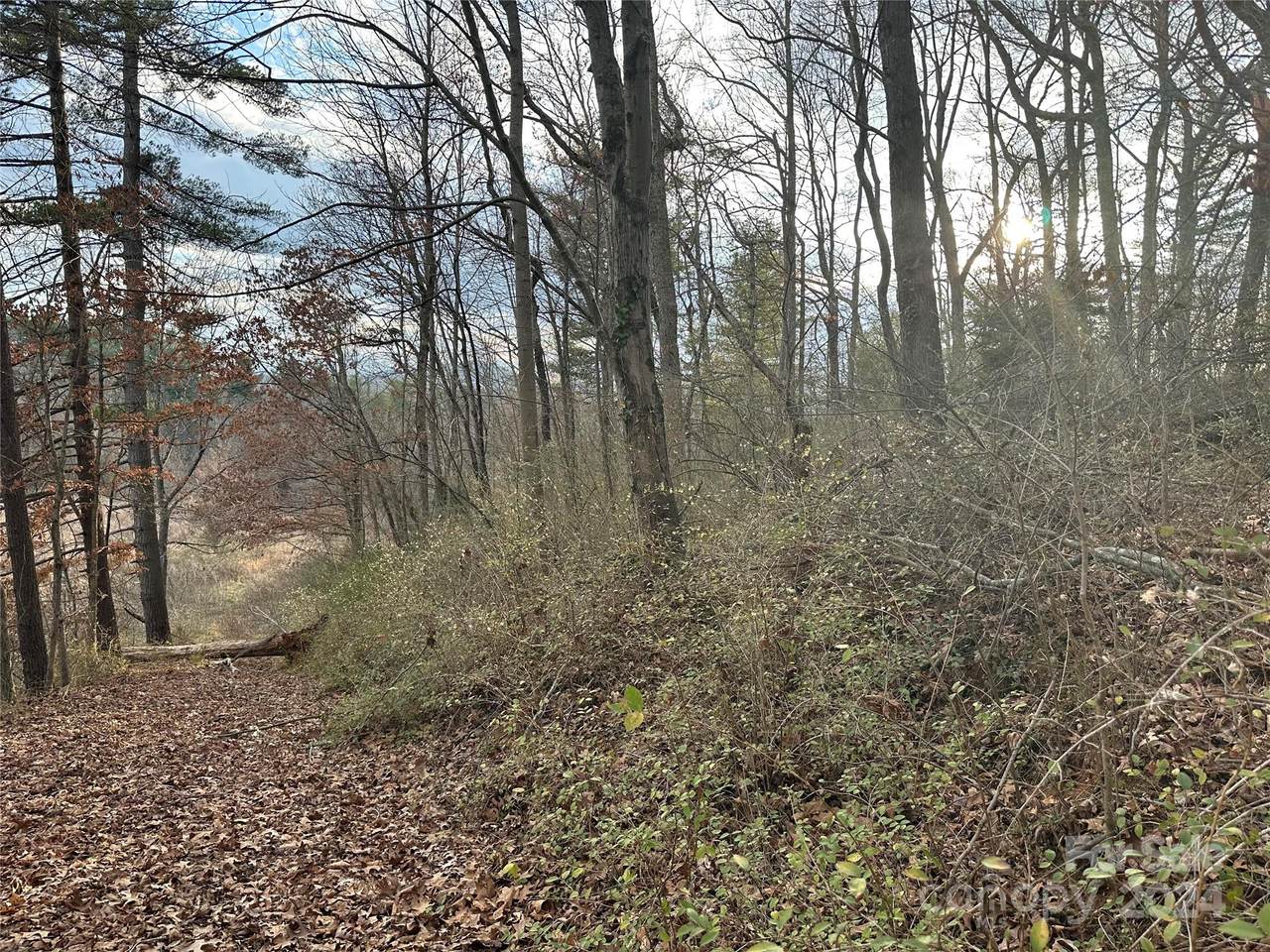 641 Brevard Road - Photo 1