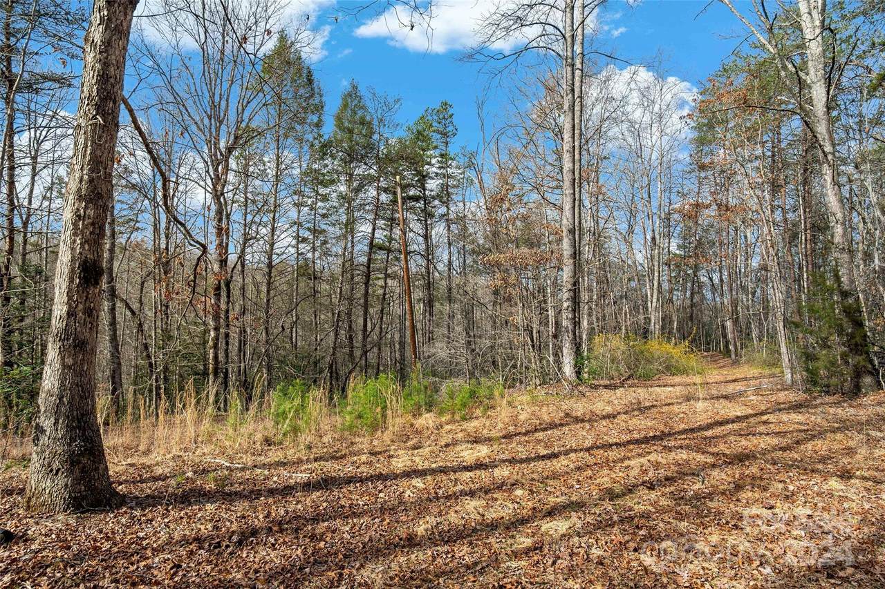 VL Payne Road - Photo 1