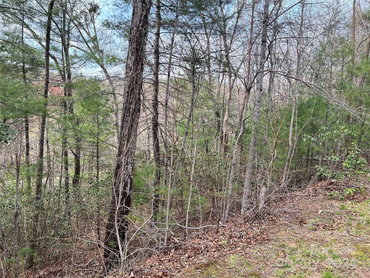 https://bt-photos.global.ssl.fastly.net/cmls/1280_boomver_1_4125435-1.jpg