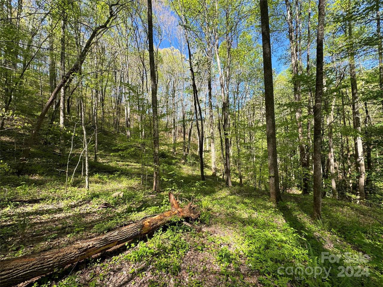 0 East Silvermine Road - Photo 1