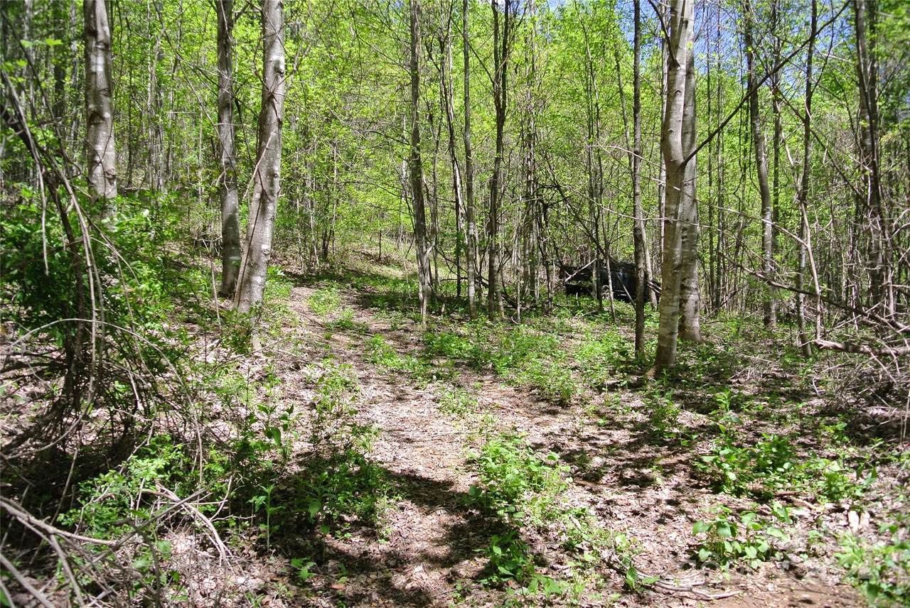 https://bt-photos.global.ssl.fastly.net/cmls/1280_boomver_1_4135943-1.jpg