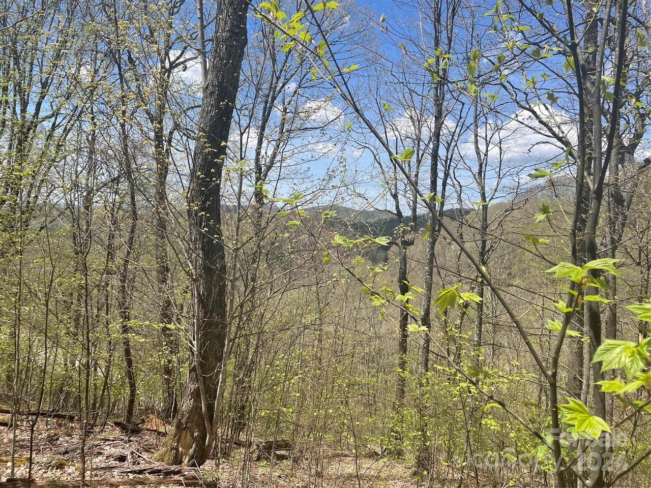 https://bt-photos.global.ssl.fastly.net/cmls/1280_boomver_1_4137530-1.jpg