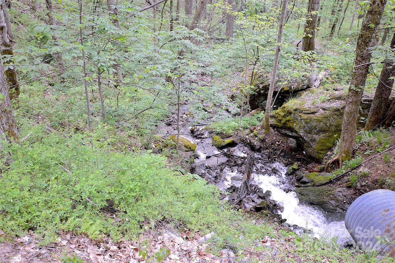 1587 Eagles Nest Road, Waynesville, NC 28786 (4150417