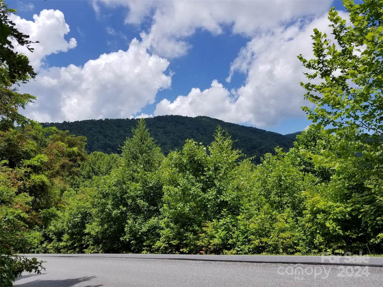 567 Blue Mist Way - Photo 1