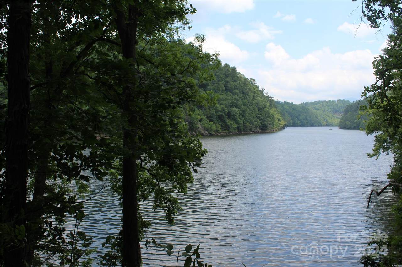 000 White Oak Road - Photo 1