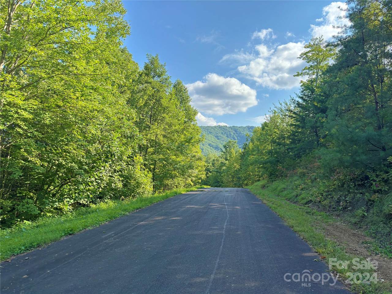 98 Fireside Trail - Photo 1