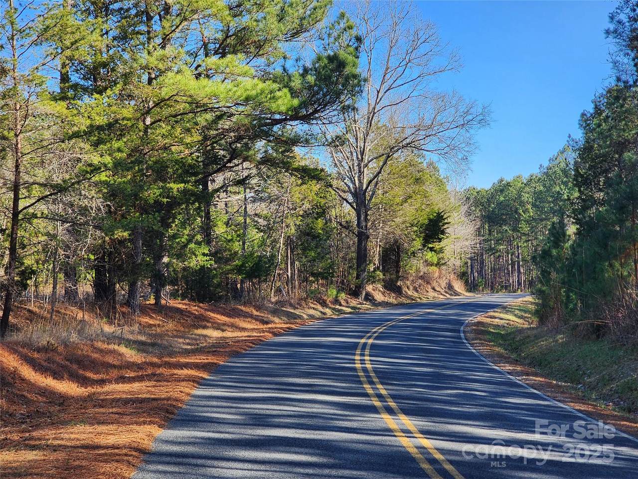 1342 Mcknight Road - Photo 1