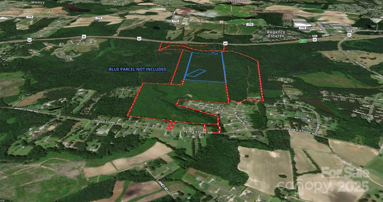 2351 Reges Store Road - Photo 1