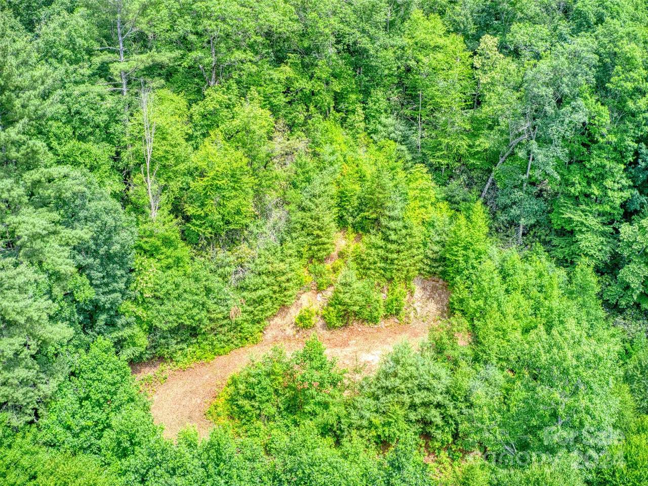 000 Cawood Lane - Photo 1