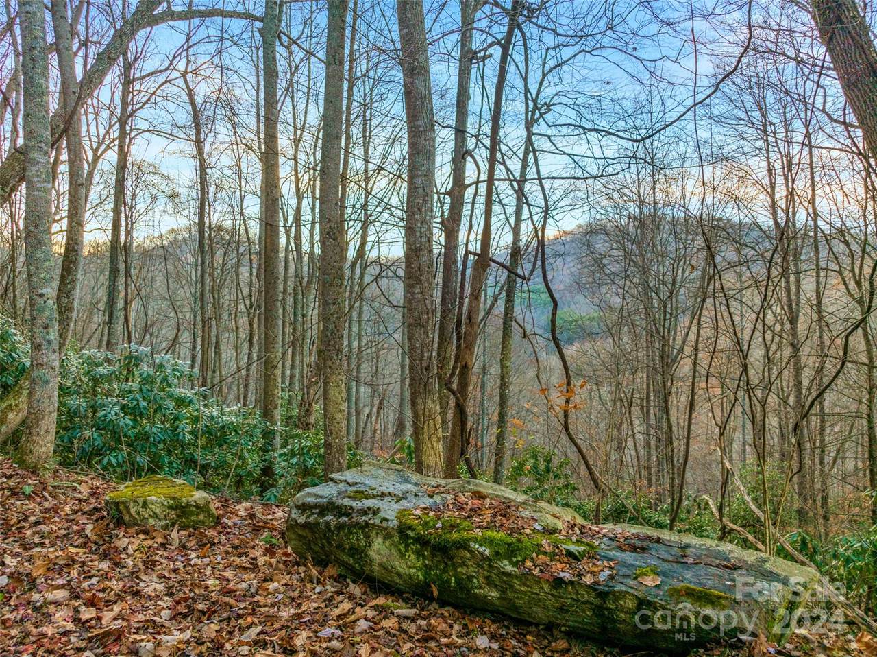 370 Cabin Creek Trail - Photo 1