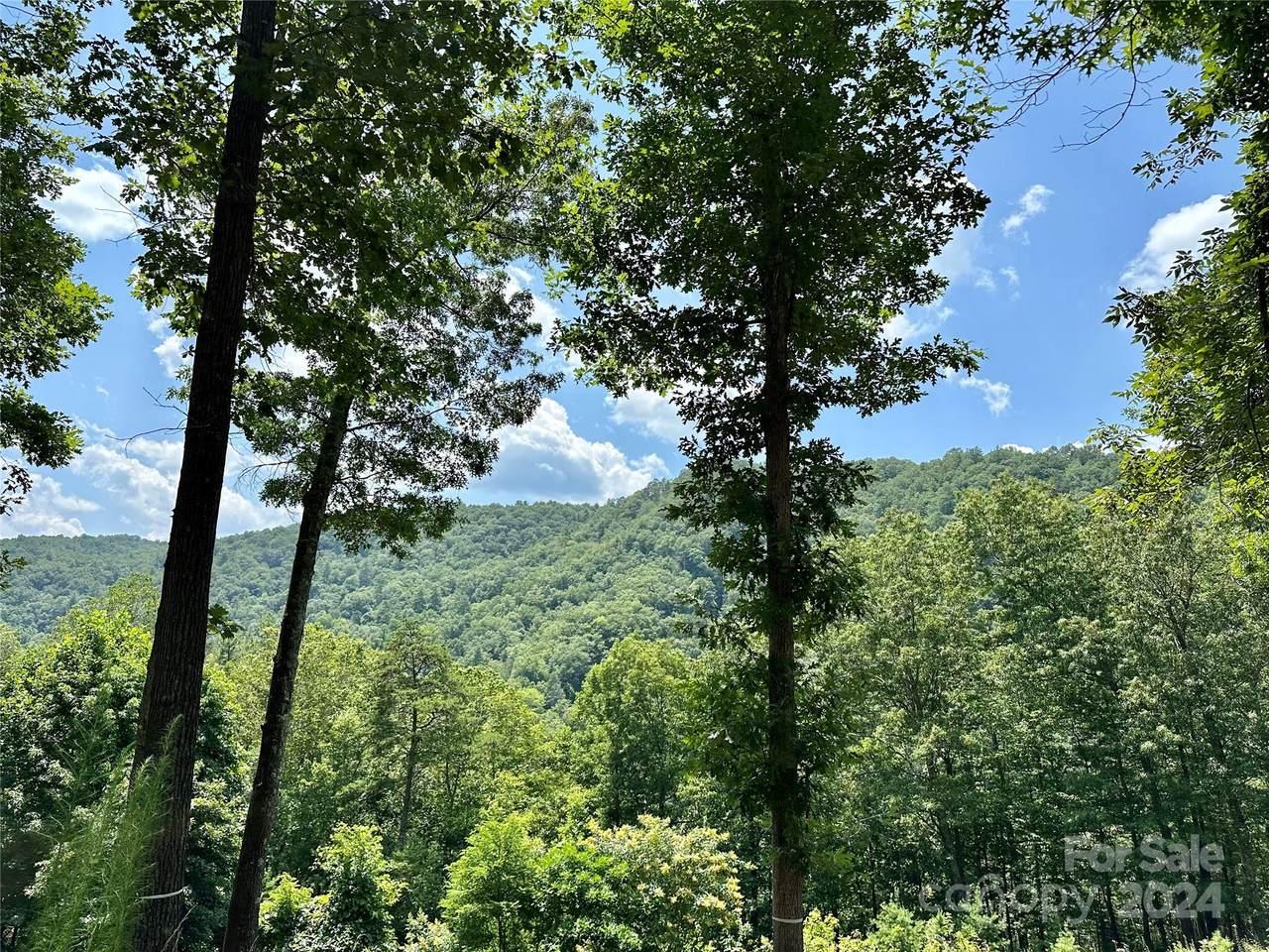 4110 French Broad Parkway - Photo 1