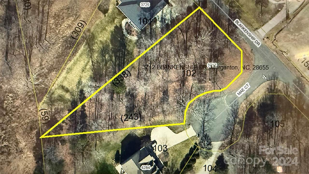 3712 Blankenship Drive - Photo 1
