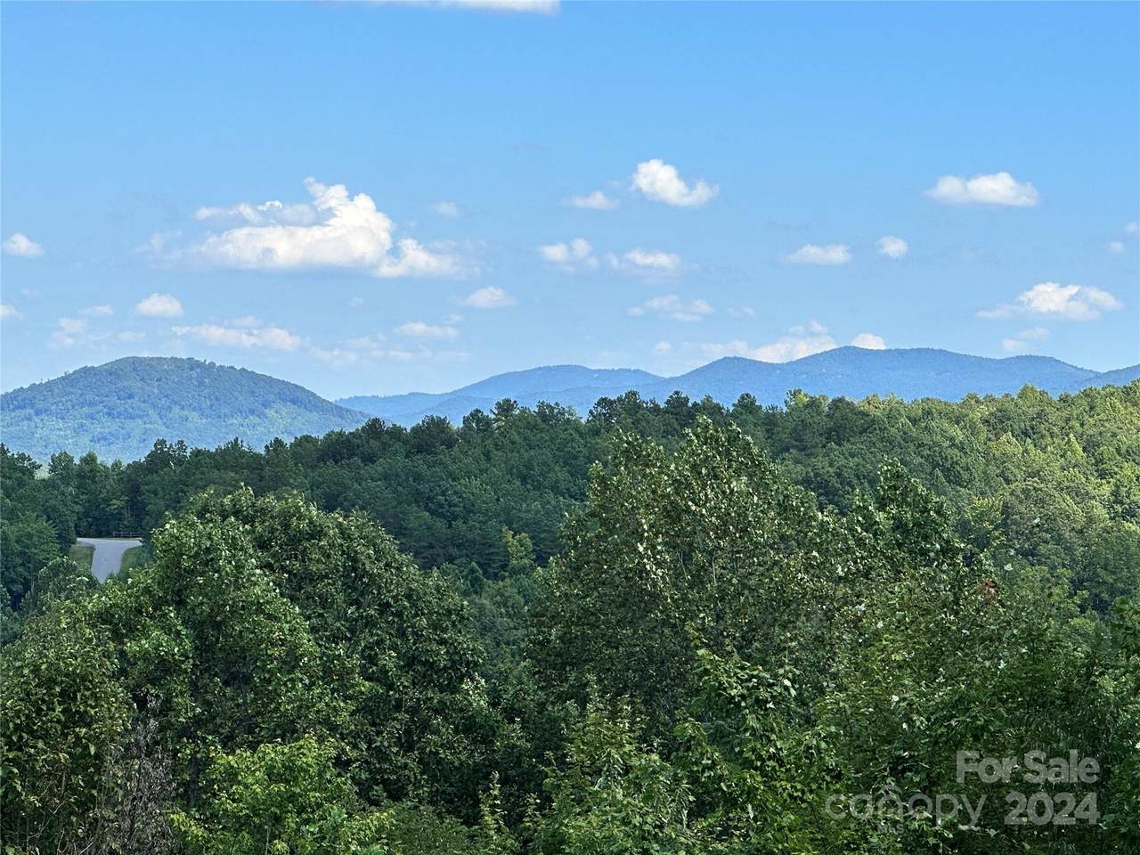 65 Serene Trail - Photo 1