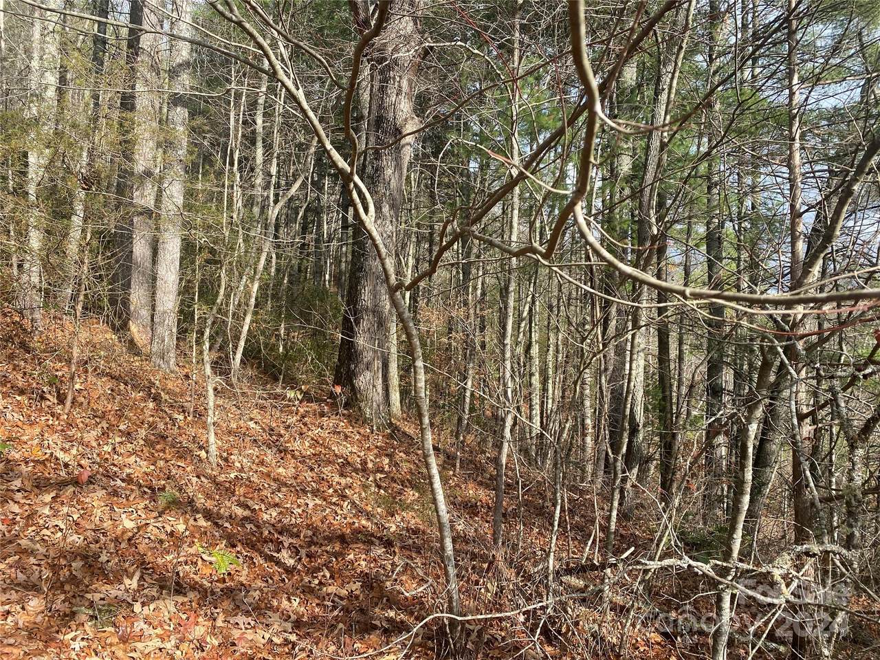 https://bt-photos.global.ssl.fastly.net/cmls/1280_boomver_1_4208227-1.jpg