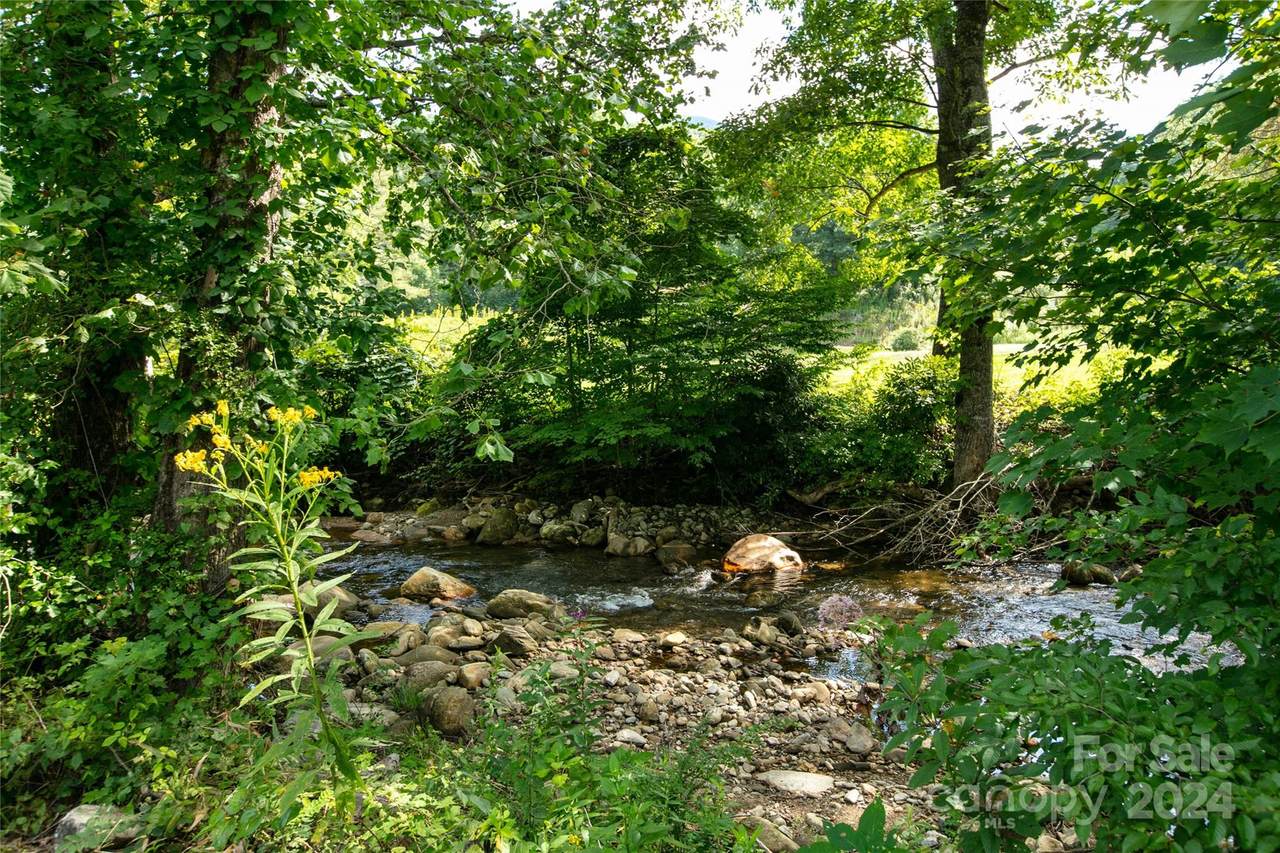 00000 Scout Trail - Photo 1