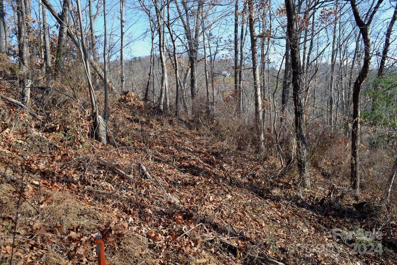 377 Elk Mountain Scenic Highway - Photo 1