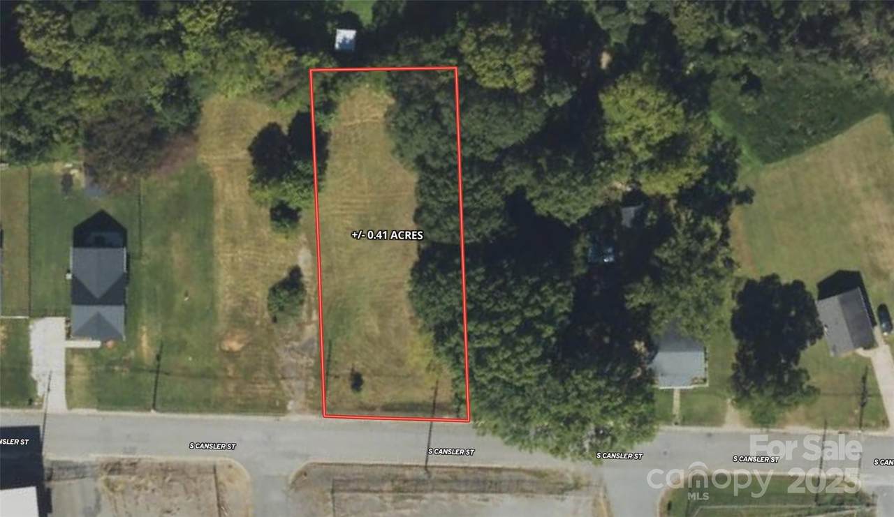 316 Cansler Street - Photo 1