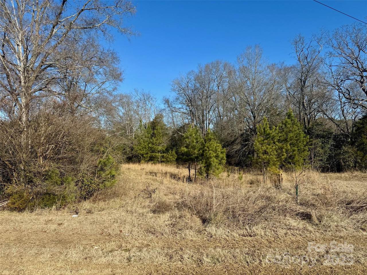 1343 Christopher Circle - Photo 1