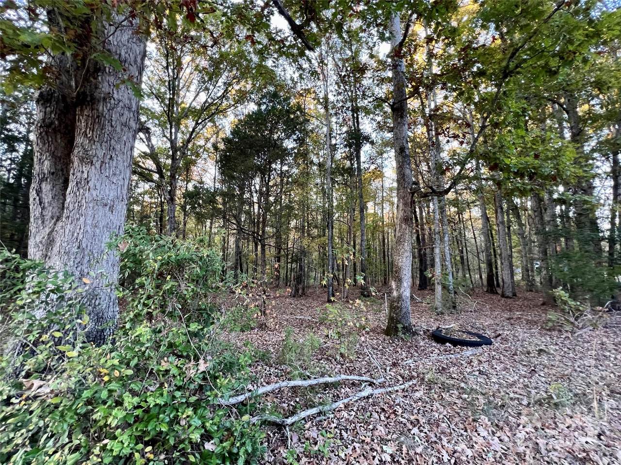 00 Charlotte Highway - Photo 1