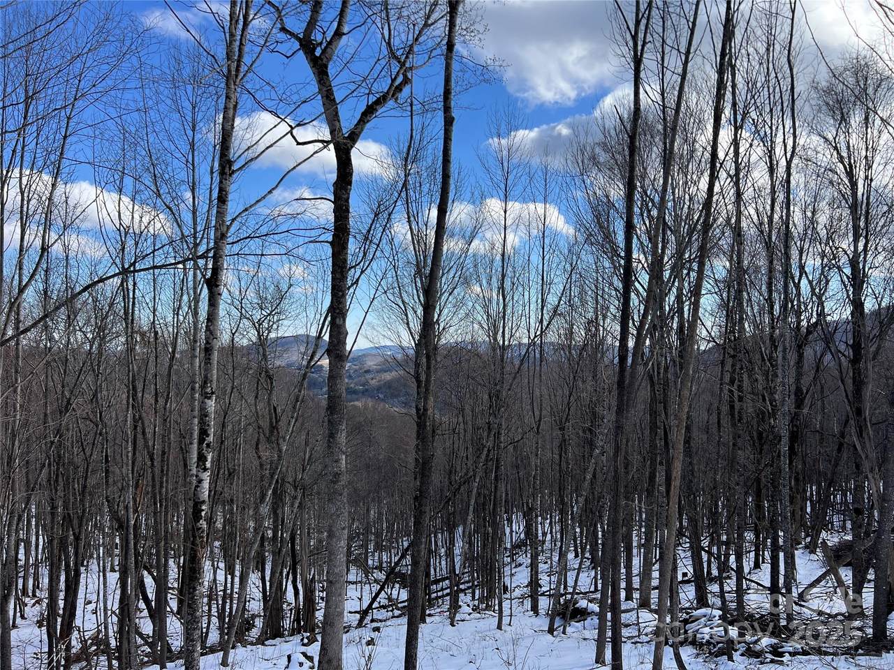 TBD (Lot 69) Poplar Forest Drive - Photo 1